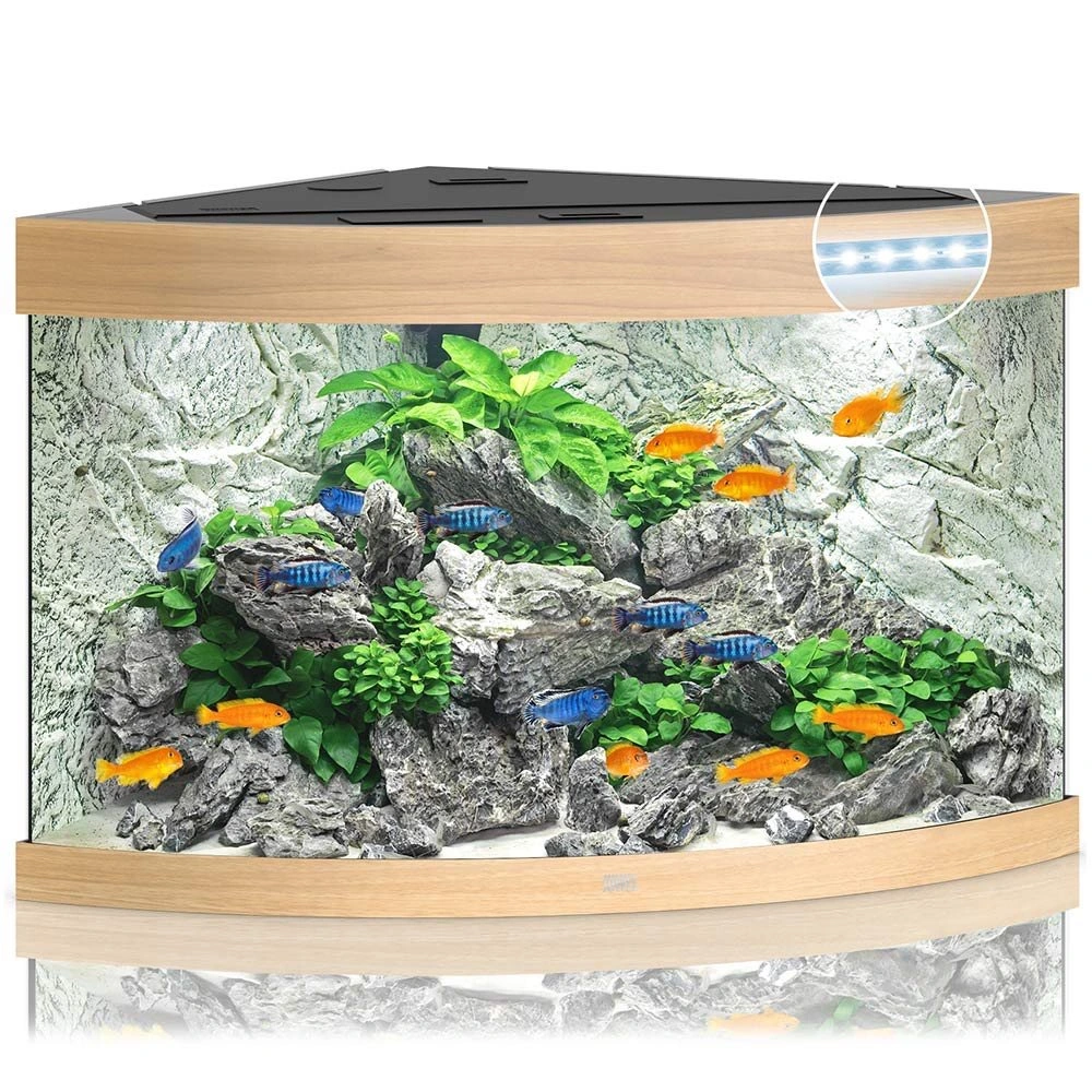 Juwel Trigon 190 LED Eg Aquarium